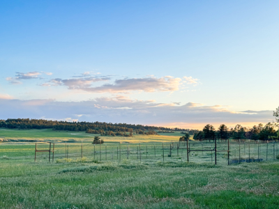 Buffalo Creek Ranch – Luxury Montana Hunting Property - image 48