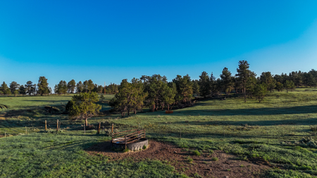 Buffalo Creek Ranch – Luxury Montana Hunting Property - image 22