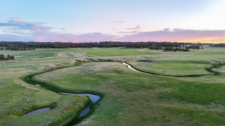 Buffalo Creek Ranch – Luxury Montana Hunting Property - image 28