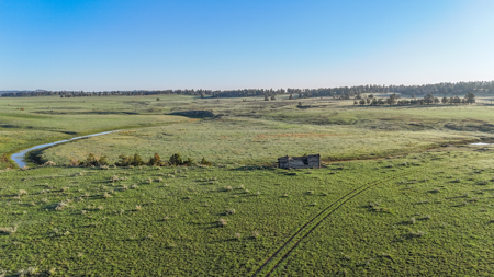 Buffalo Creek Ranch – Luxury Montana Hunting Property - image 1