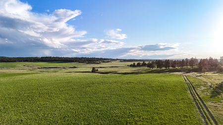 Buffalo Creek Ranch – Luxury Montana Hunting Property - image 35