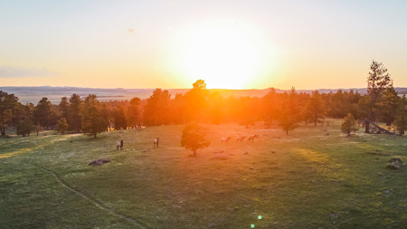 Buffalo Creek Ranch – Luxury Montana Hunting Property - image 27
