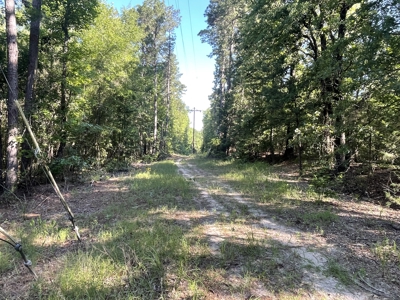 East Texas Country Home on 14 Acres – 3 Bed, 2.5 Bath with Guest - image 46