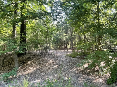 East Texas Country Home on 14 Acres – 3 Bed, 2.5 Bath with Guest - image 45