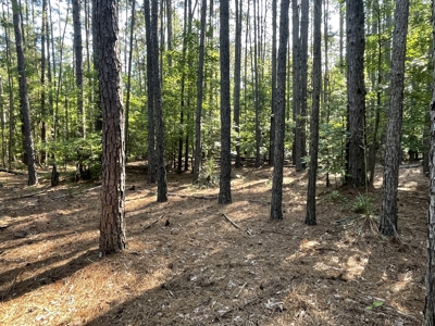 East Texas Country Home on 14 Acres – 3 Bed, 2.5 Bath with Guest - image 47