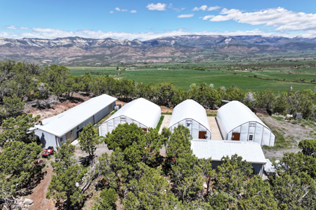 Country Home For sale with Irrigated Acreage - image 33