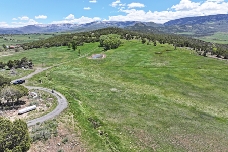 Country Home For sale with Irrigated Acreage - image 37