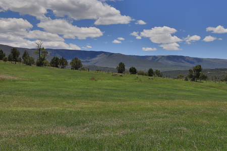 Country Home For sale with Irrigated Acreage - image 41