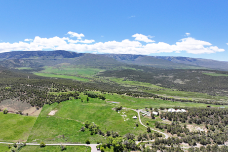 Country Home For sale with Irrigated Acreage - image 6