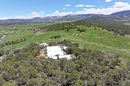 Country Home For sale with Irrigated Acreage - image 7