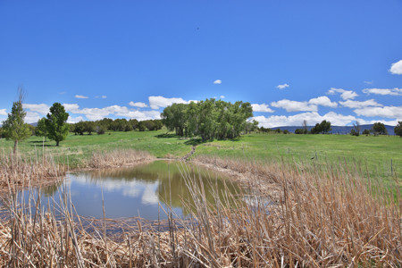 Country Home For sale with Irrigated Acreage - image 39