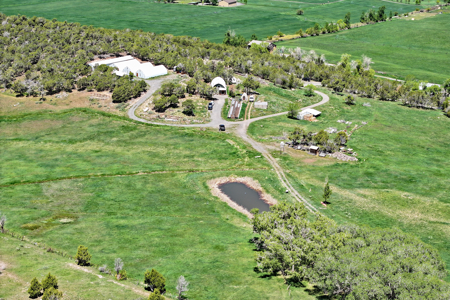 Country Home For sale with Irrigated Acreage - image 8