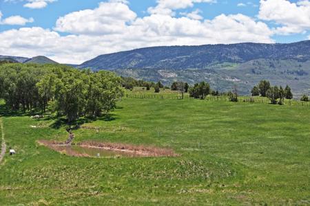 Country Home For sale with Irrigated Acreage - image 38