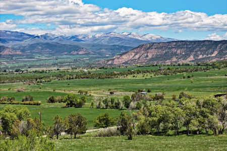 Country Home For sale with Irrigated Acreage - image 11