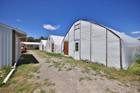 Country Home For sale with Irrigated Acreage - image 27