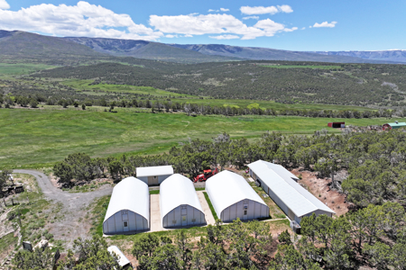 Country Home For sale with Irrigated Acreage - image 34