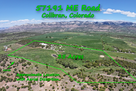 Country Home For sale with Irrigated Acreage - image 4