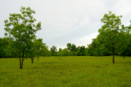 Central Oklahoma Ranch For Sale, Lincoln County - image 20
