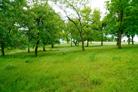 Central Oklahoma Ranch For Sale, Lincoln County - image 18