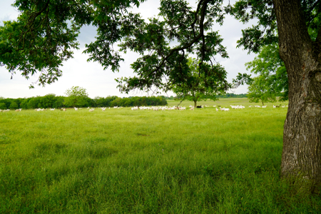 Central Oklahoma Ranch For Sale, Lincoln County - image 22