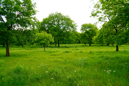 Central Oklahoma Ranch For Sale, Lincoln County - image 19