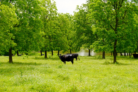 Central Oklahoma Ranch For Sale, Lincoln County - image 3