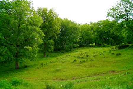 Central Oklahoma Ranch For Sale, Lincoln County - image 17
