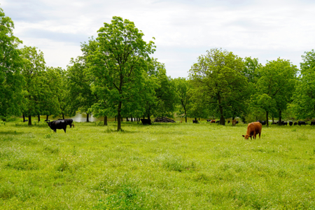 Central Oklahoma Ranch For Sale, Lincoln County - image 2
