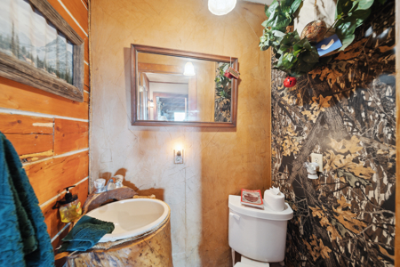 Log Home on 119 Acres, Hunting Land with Panoramic Views - image 39