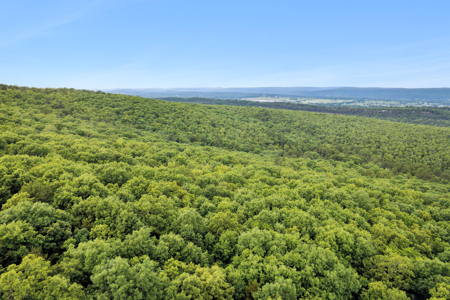 Log Home on 119 Acres, Hunting Land with Panoramic Views - image 18