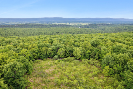 Log Home on 119 Acres, Hunting Land with Panoramic Views - image 16