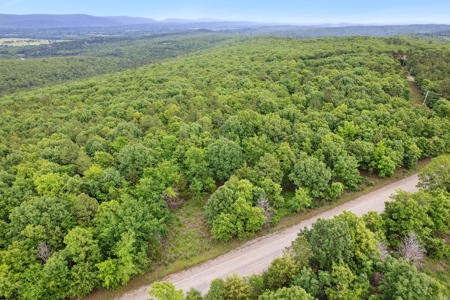 Log Home on 119 Acres, Hunting Land with Panoramic Views - image 13