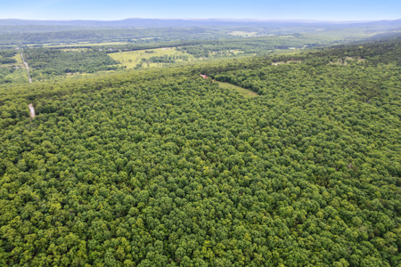 Log Home on 119 Acres, Hunting Land with Panoramic Views - image 9