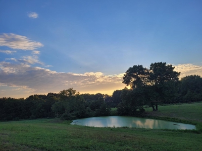 Modern Country Home on 33.8 Acres with Solar & Shop - image 42