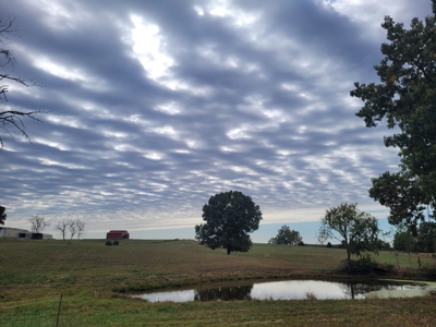 Modern Country Home on 33.8 Acres with Solar & Shop - image 43