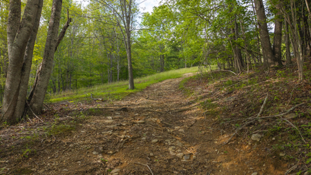 Doublewide for Sale in Lansing NC - image 23