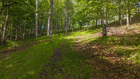 Doublewide for Sale in Lansing NC - image 19