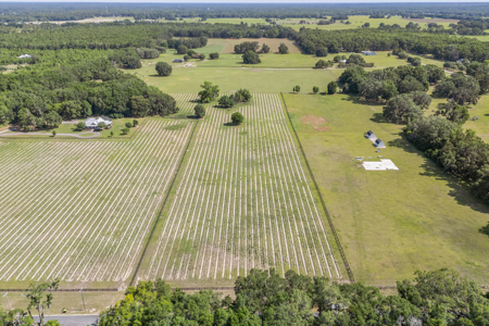 Vacant Land in High Springs, Alachua County, North Florida - image 3