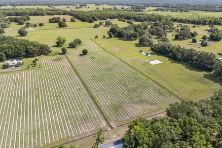 Vacant Land in High Springs, Alachua County, North Florida - image 4