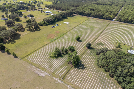 Vacant Land in High Springs, Alachua County, North Florida - image 6