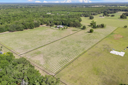 Vacant Land in High Springs, Alachua County, North Florida - image 11
