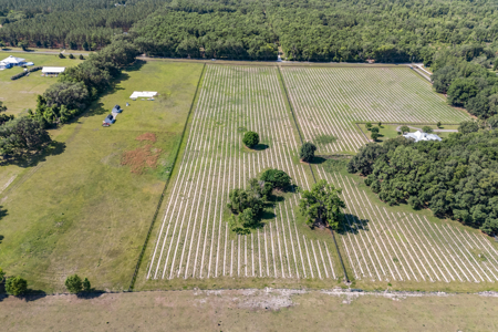 Vacant Land in High Springs, Alachua County, North Florida - image 7