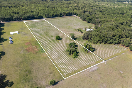 Vacant Land in High Springs, Alachua County, North Florida - image 8