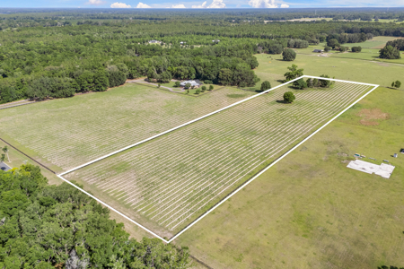 Vacant Land in High Springs, Alachua County, North Florida - image 1
