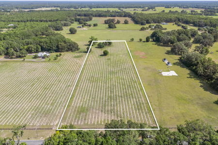 Vacant Land in High Springs, Alachua County, North Florida - image 2