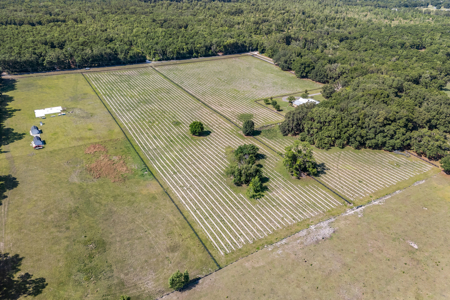 Vacant Land in High Springs, Alachua County, North Florida - image 9