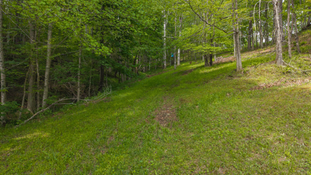 ** PENDING ** Doublewide for Sale in Lansing NC - image 19