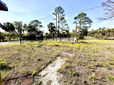 Land For Sale In Suwannee Florida !!! - image 4