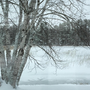 Lakefront Home Northern Michigan on Avery Lake Lewiston MI - image 45