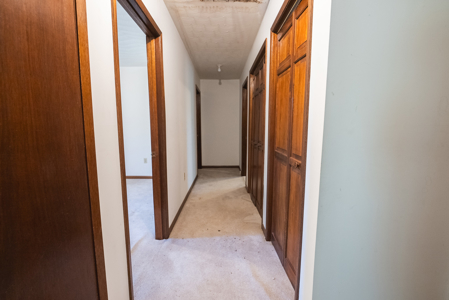 East Tennessee Opportunity: Brick Rancher with Mountain Views - image 17